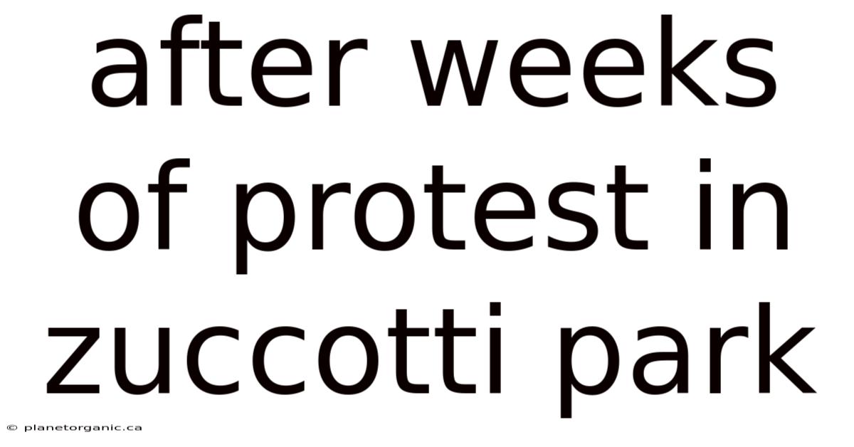 After Weeks Of Protest In Zuccotti Park