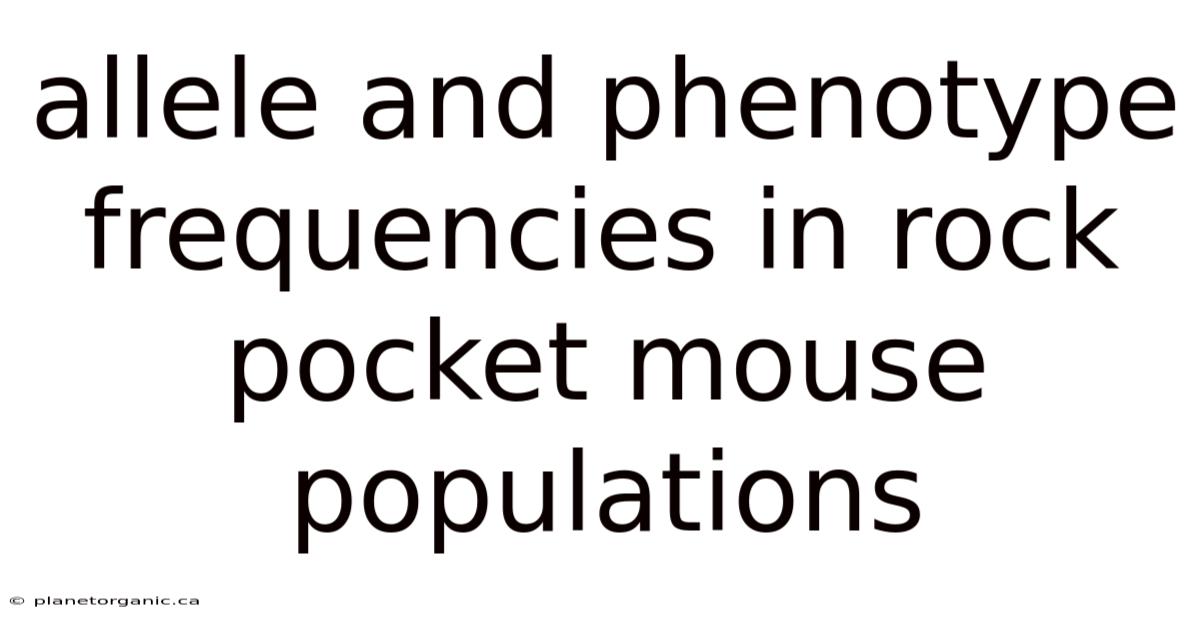 Allele And Phenotype Frequencies In Rock Pocket Mouse Populations