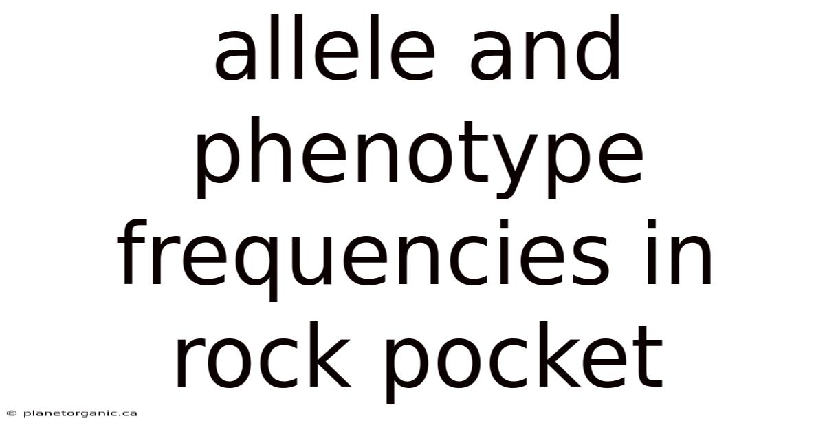 Allele And Phenotype Frequencies In Rock Pocket