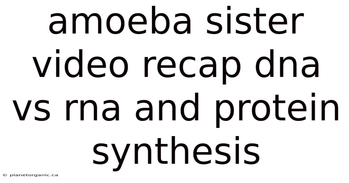 Amoeba Sister Video Recap Dna Vs Rna And Protein Synthesis