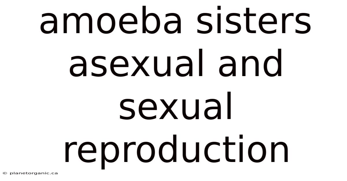 Amoeba Sisters Asexual And Sexual Reproduction