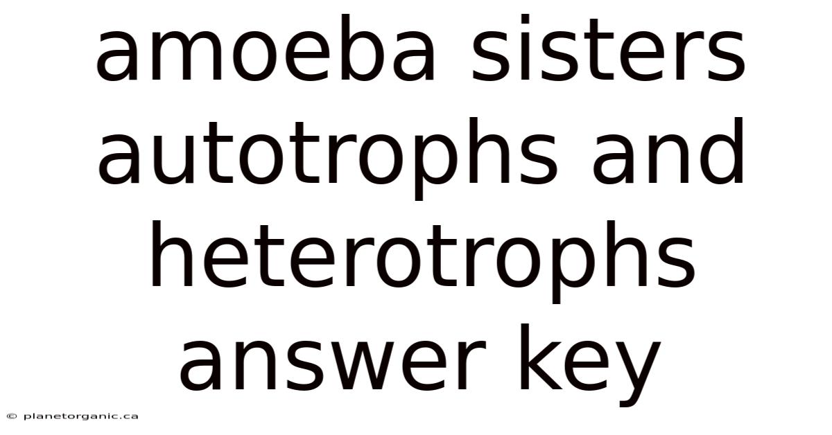 Amoeba Sisters Autotrophs And Heterotrophs Answer Key