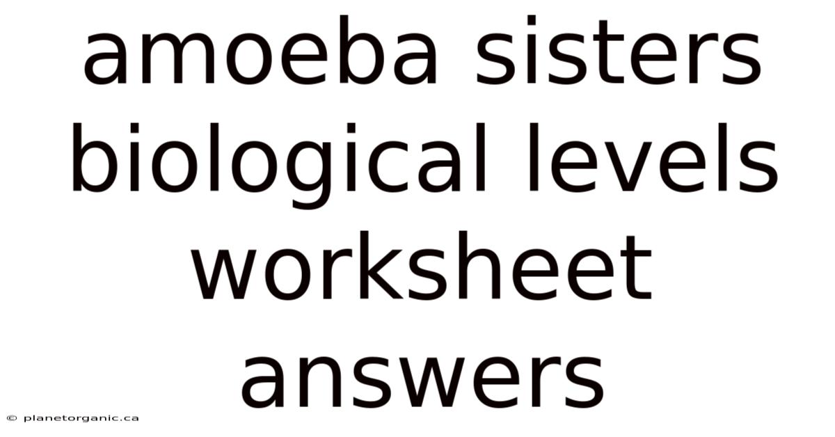 Amoeba Sisters Biological Levels Worksheet Answers