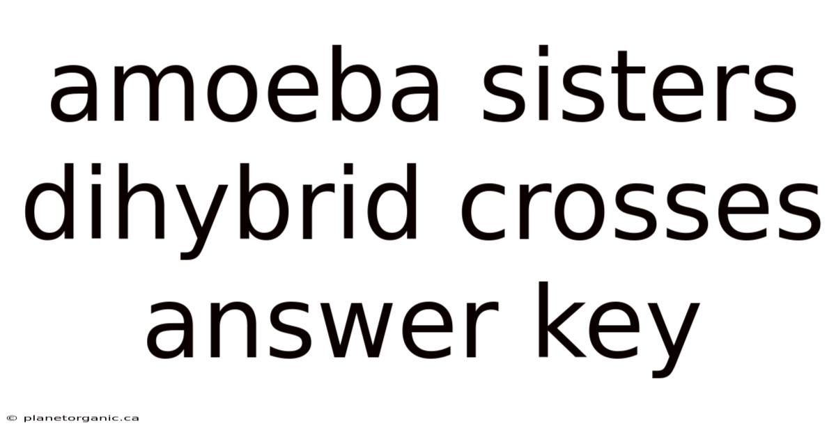 Amoeba Sisters Dihybrid Crosses Answer Key