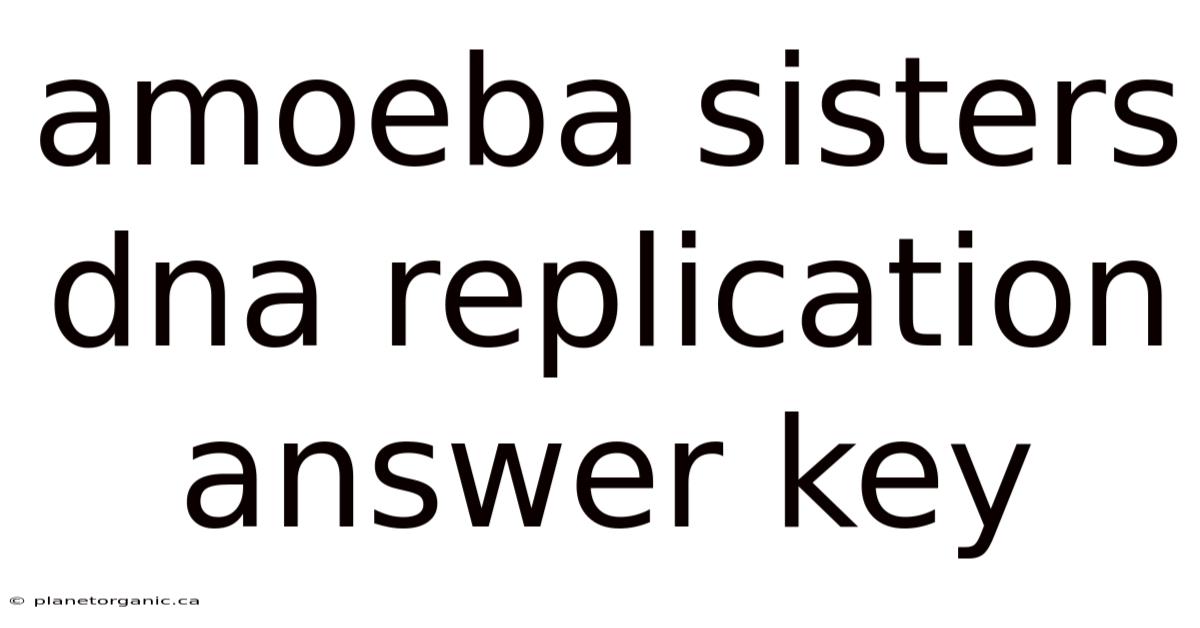 Amoeba Sisters Dna Replication Answer Key