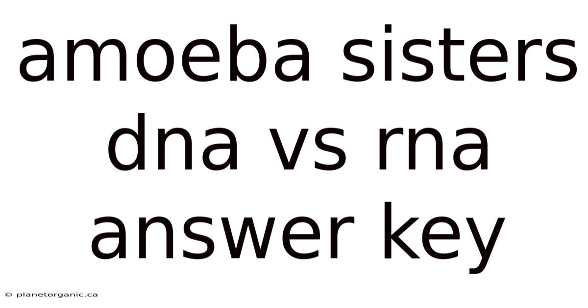 Amoeba Sisters Dna Vs Rna Answer Key