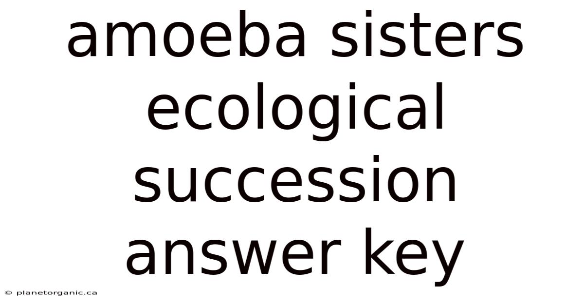 Amoeba Sisters Ecological Succession Answer Key