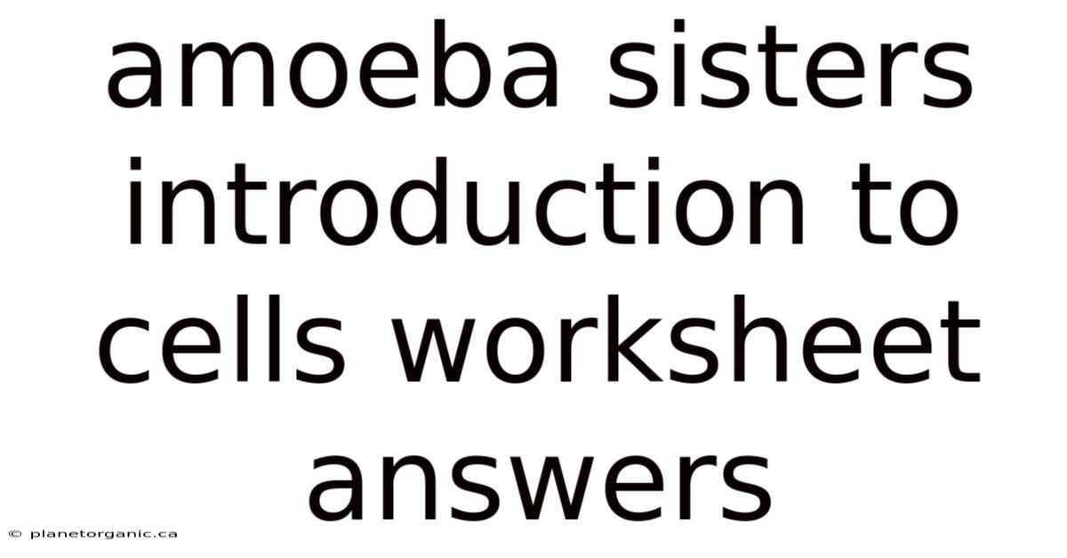 Amoeba Sisters Introduction To Cells Worksheet Answers