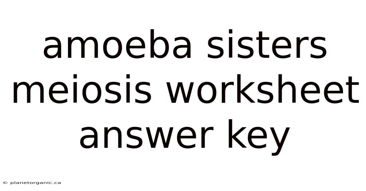 Amoeba Sisters Meiosis Worksheet Answer Key