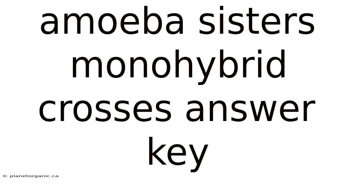 Amoeba Sisters Monohybrid Crosses Answer Key