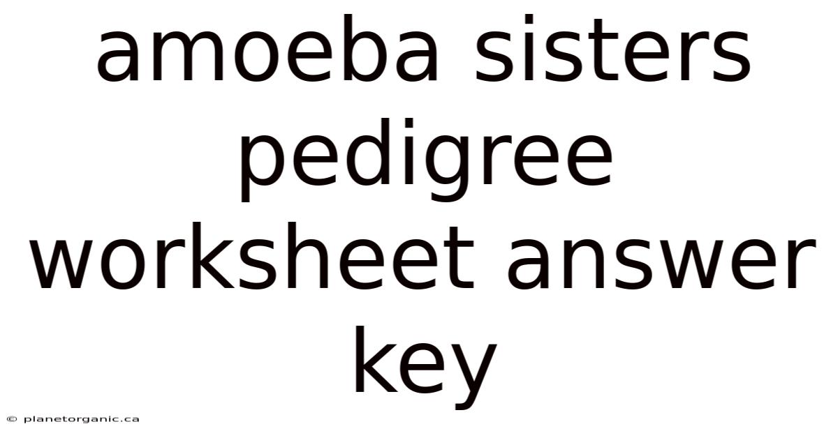 Amoeba Sisters Pedigree Worksheet Answer Key