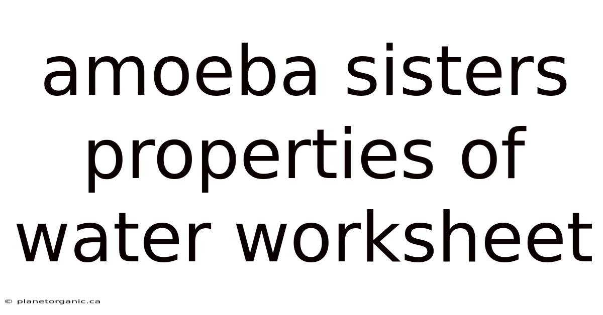 Amoeba Sisters Properties Of Water Worksheet