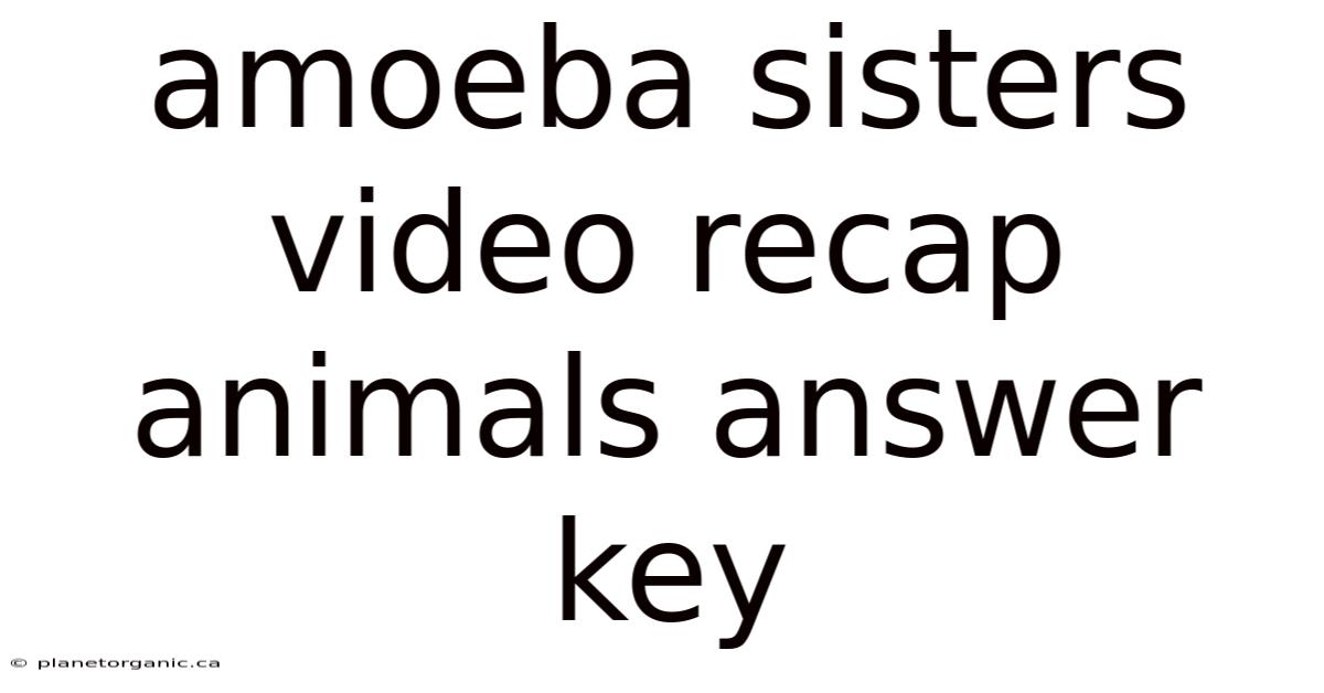 Amoeba Sisters Video Recap Animals Answer Key