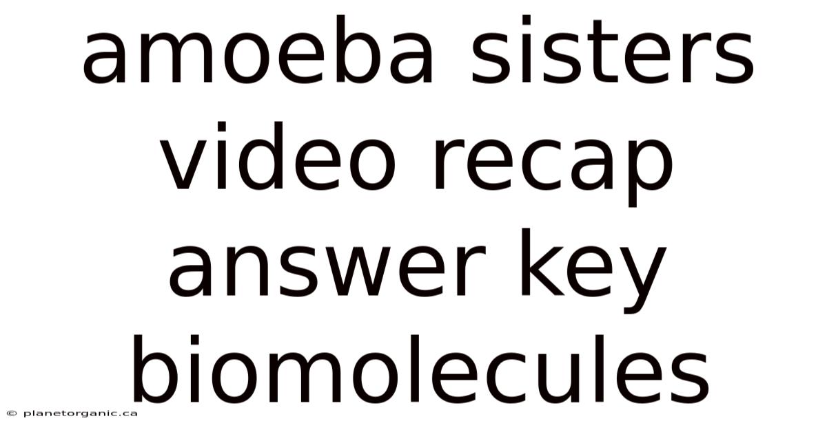 Amoeba Sisters Video Recap Answer Key Biomolecules