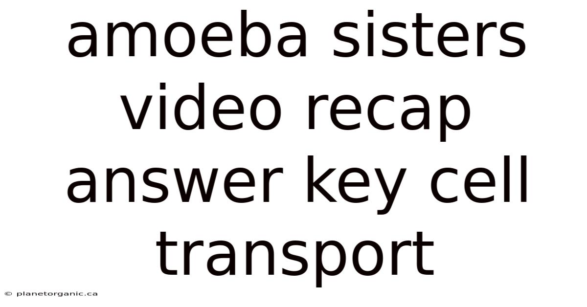 Amoeba Sisters Video Recap Answer Key Cell Transport