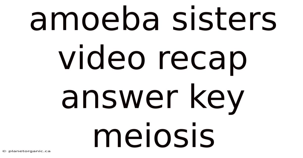 Amoeba Sisters Video Recap Answer Key Meiosis