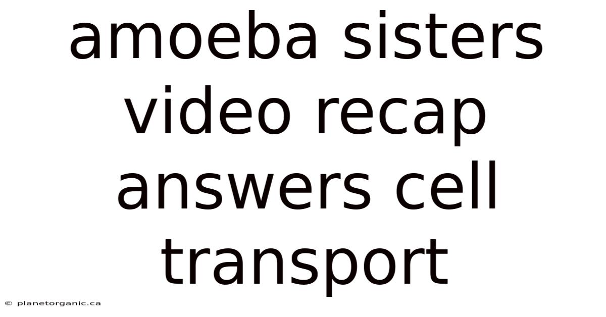 Amoeba Sisters Video Recap Answers Cell Transport