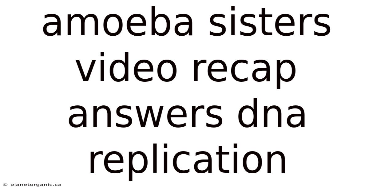 Amoeba Sisters Video Recap Answers Dna Replication