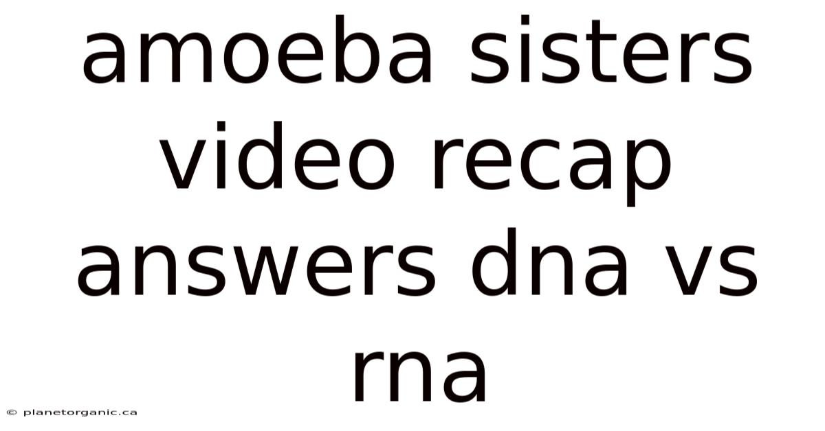 Amoeba Sisters Video Recap Answers Dna Vs Rna