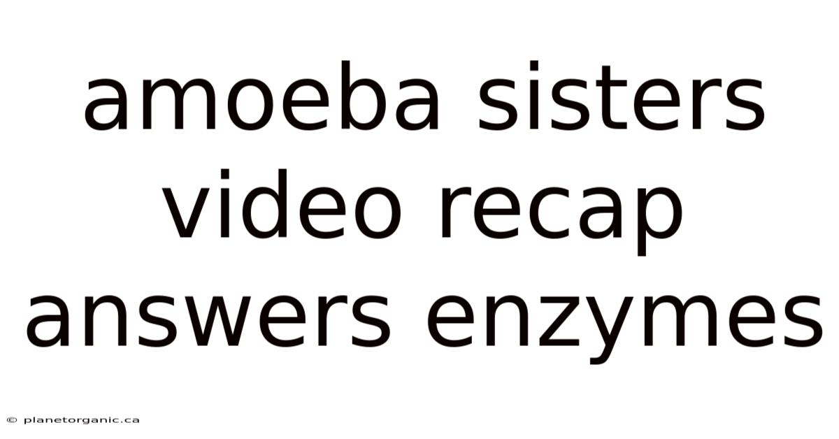 Amoeba Sisters Video Recap Answers Enzymes