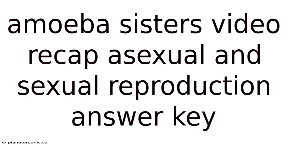 Amoeba Sisters Video Recap Asexual And Sexual Reproduction Answer Key