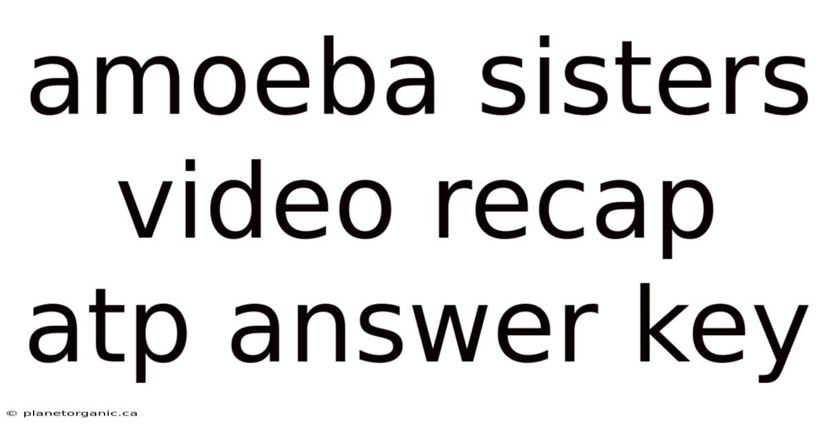 Amoeba Sisters Video Recap Atp Answer Key