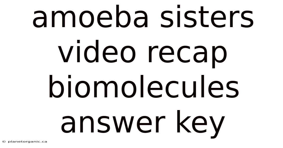 Amoeba Sisters Video Recap Biomolecules Answer Key