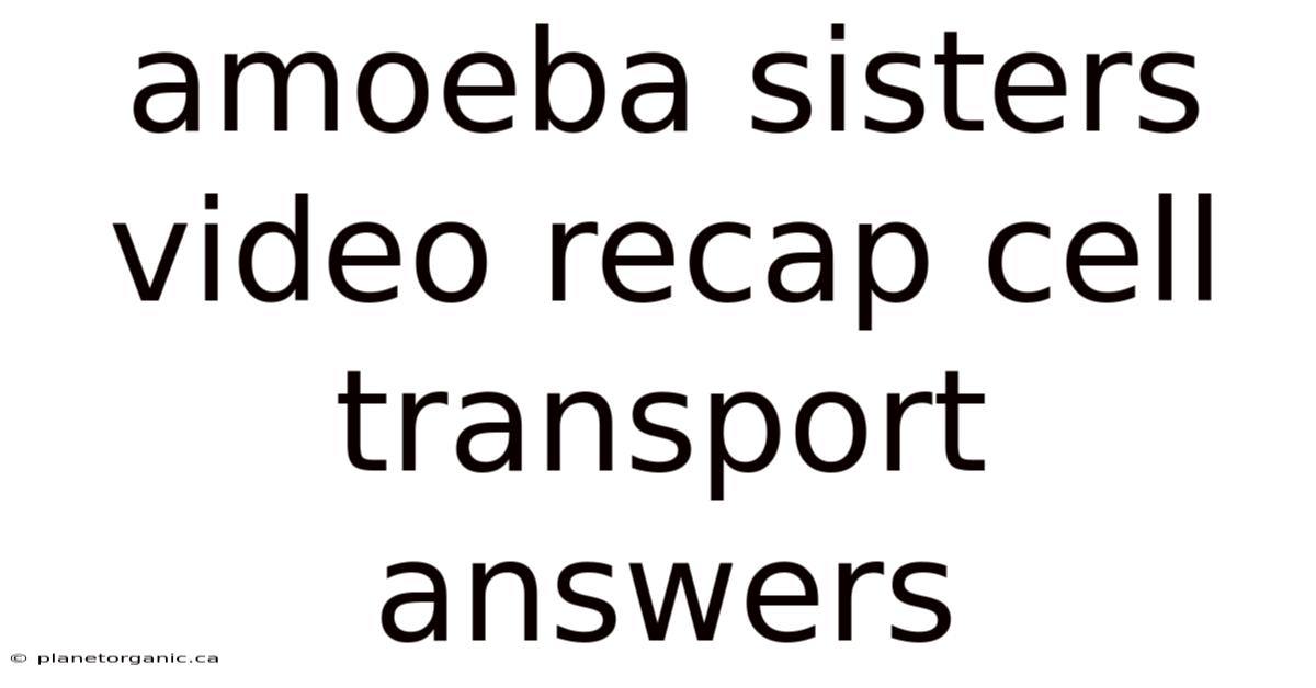 Amoeba Sisters Video Recap Cell Transport Answers