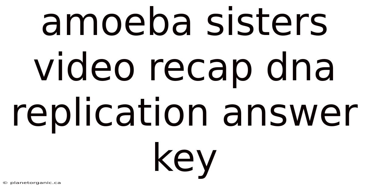 Amoeba Sisters Video Recap Dna Replication Answer Key