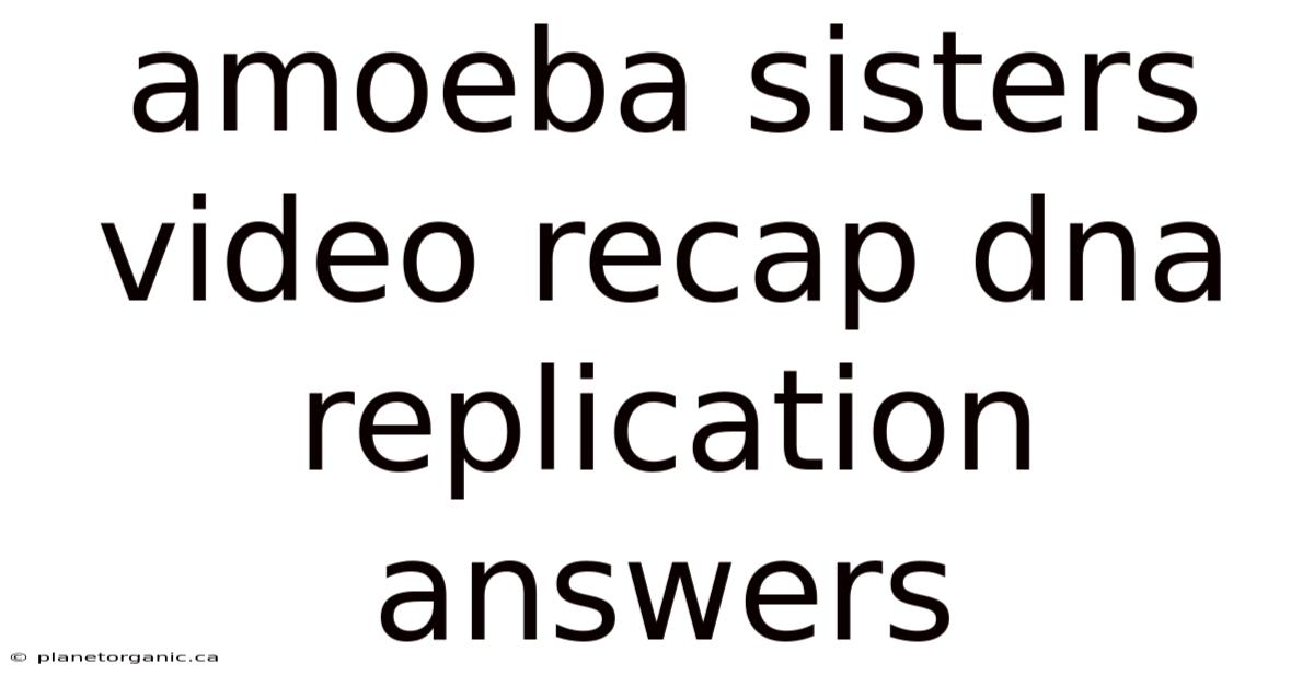 Amoeba Sisters Video Recap Dna Replication Answers