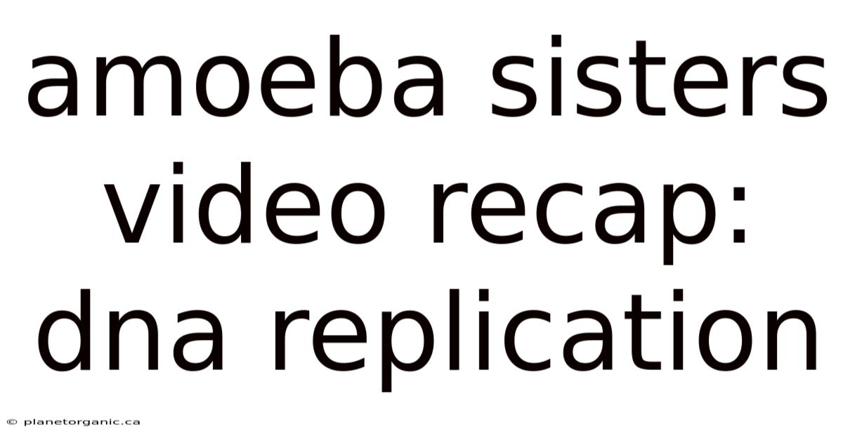 Amoeba Sisters Video Recap: Dna Replication