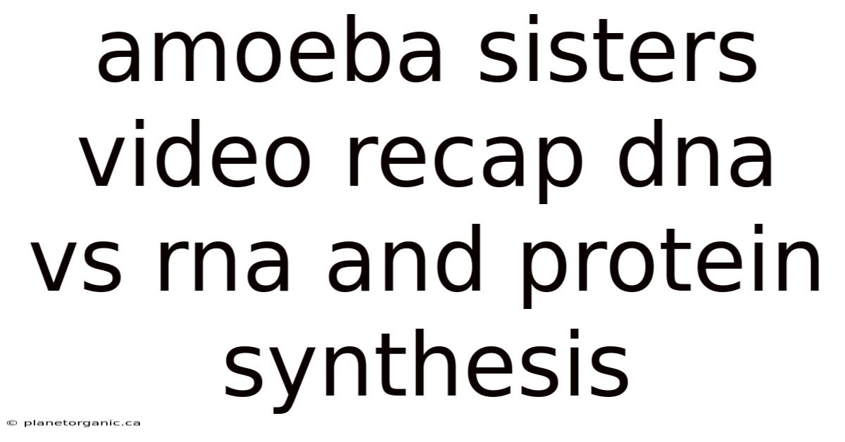 Amoeba Sisters Video Recap Dna Vs Rna And Protein Synthesis
