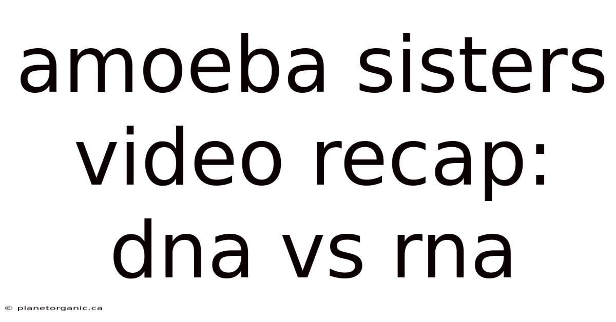 Amoeba Sisters Video Recap: Dna Vs Rna