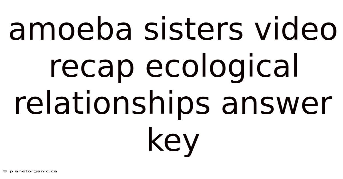Amoeba Sisters Video Recap Ecological Relationships Answer Key