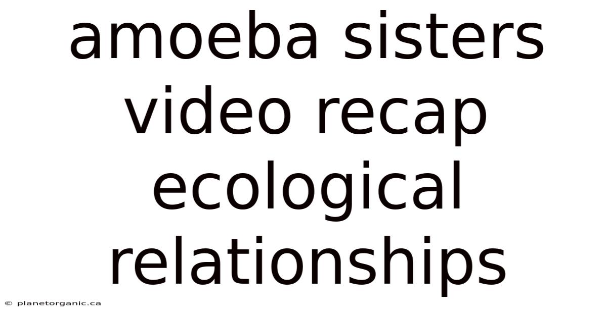 Amoeba Sisters Video Recap Ecological Relationships