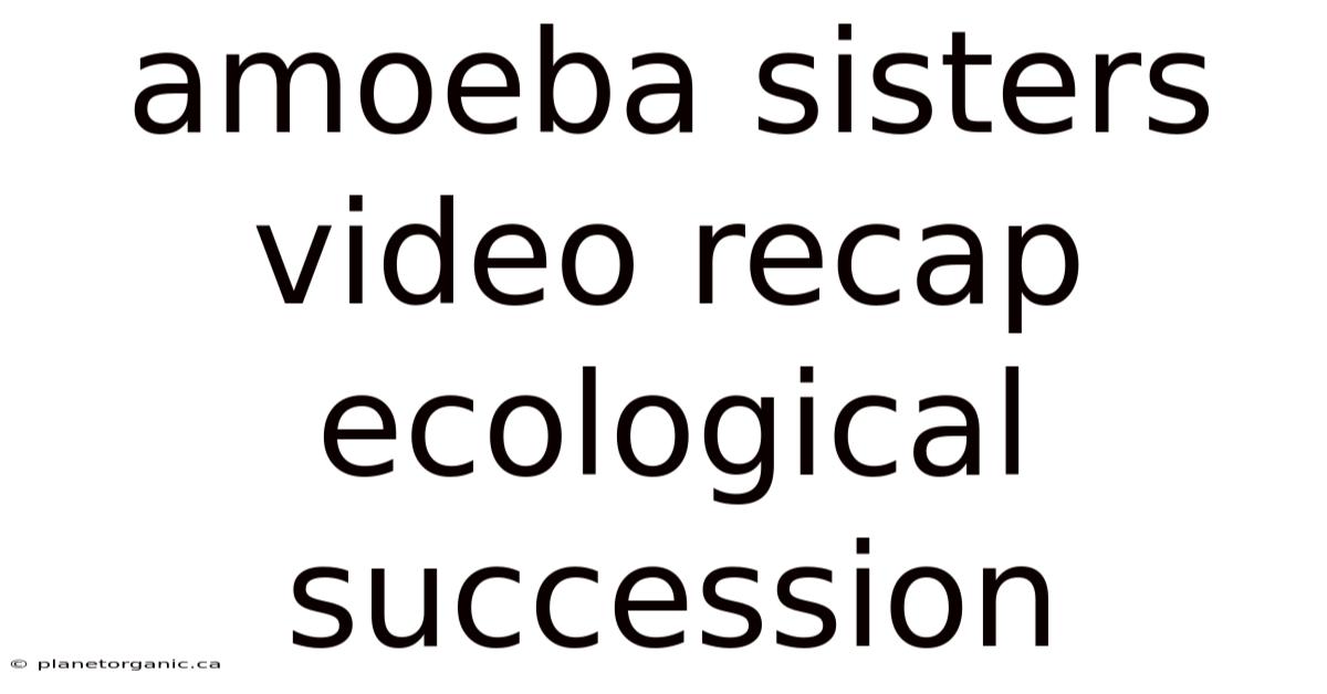 Amoeba Sisters Video Recap Ecological Succession