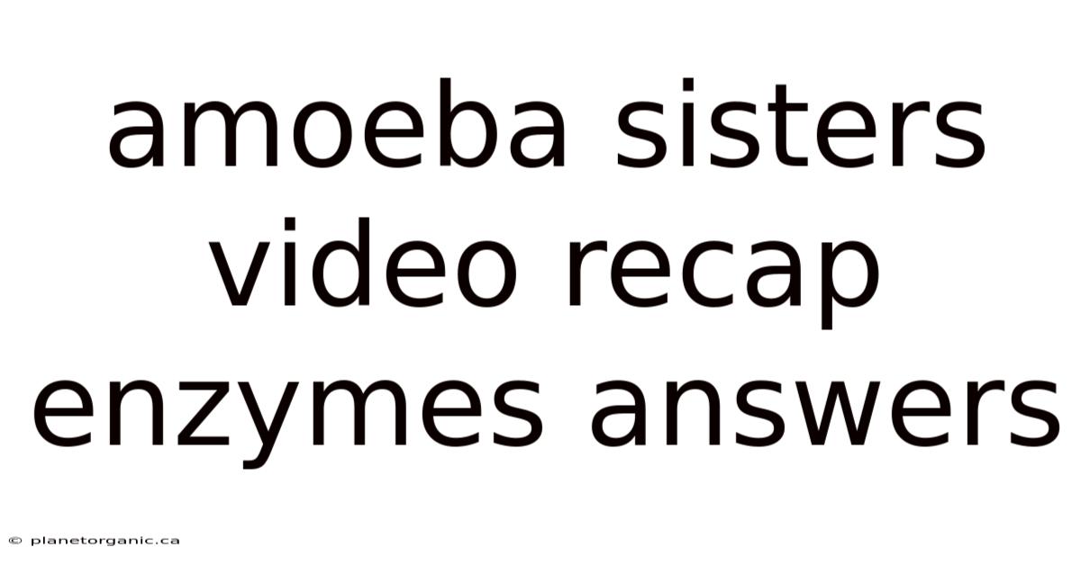 Amoeba Sisters Video Recap Enzymes Answers
