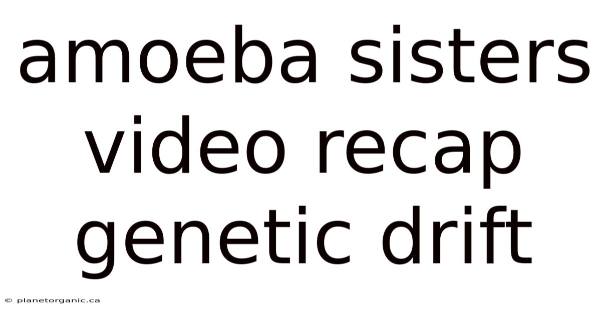 Amoeba Sisters Video Recap Genetic Drift