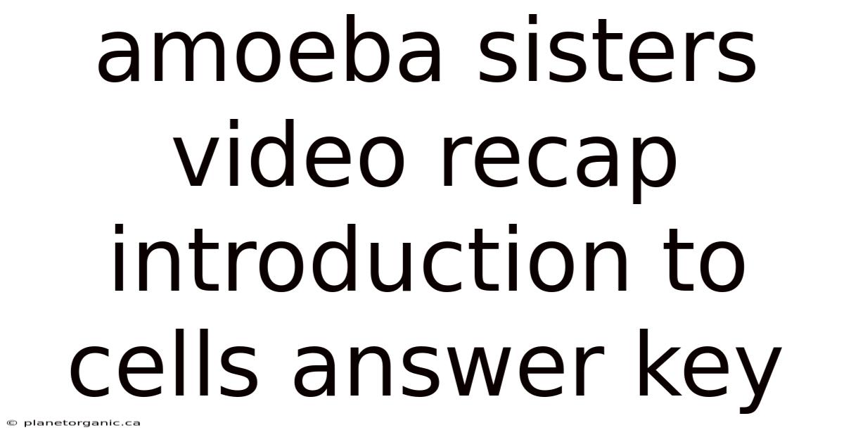 Amoeba Sisters Video Recap Introduction To Cells Answer Key