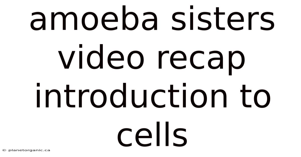 Amoeba Sisters Video Recap Introduction To Cells
