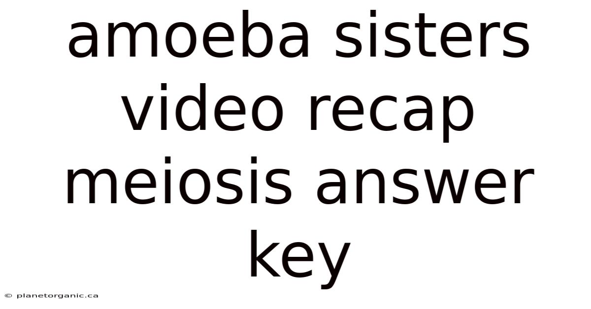 Amoeba Sisters Video Recap Meiosis Answer Key