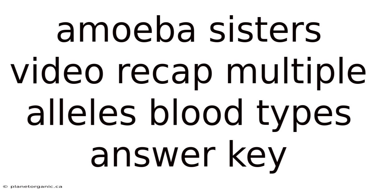 Amoeba Sisters Video Recap Multiple Alleles Blood Types Answer Key