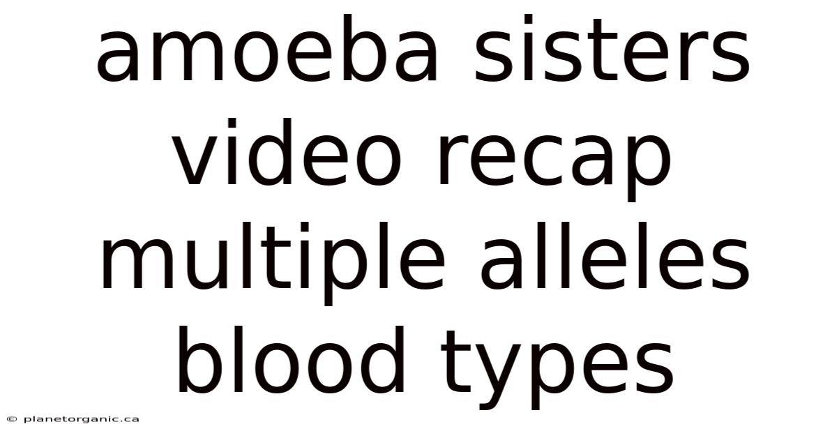 Amoeba Sisters Video Recap Multiple Alleles Blood Types
