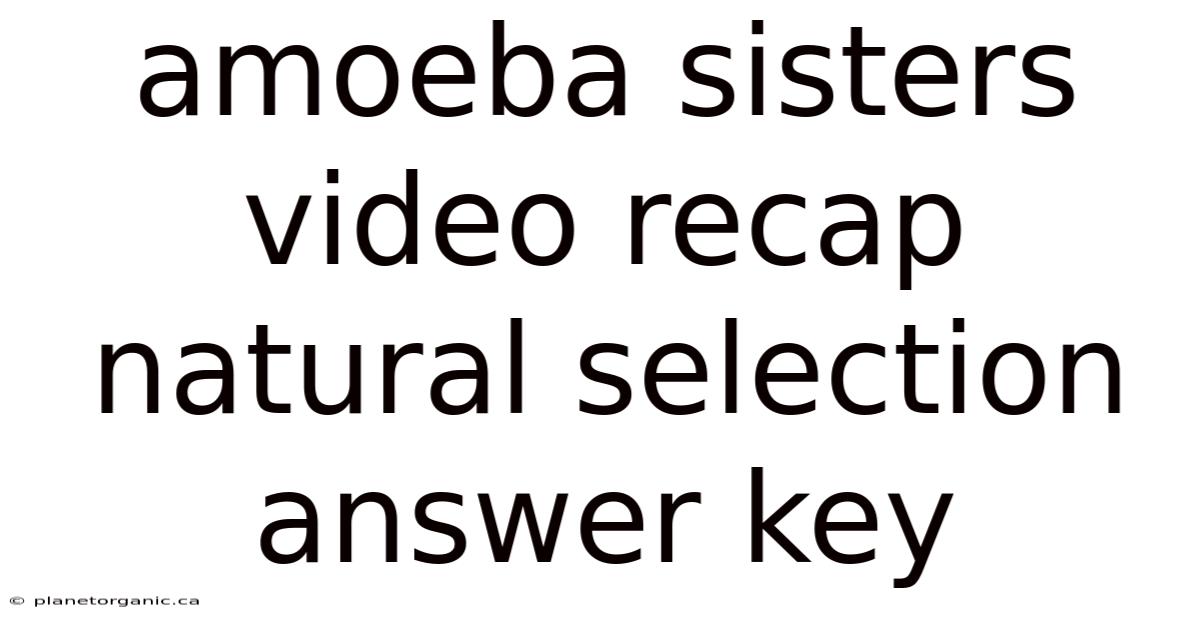 Amoeba Sisters Video Recap Natural Selection Answer Key