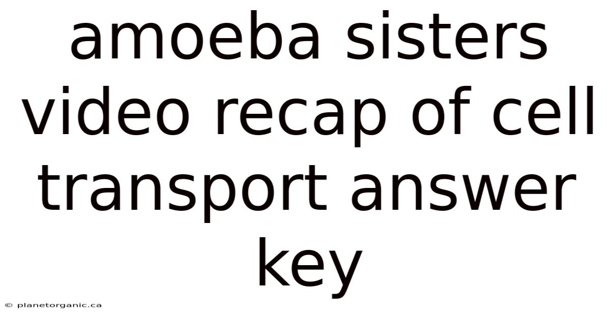 Amoeba Sisters Video Recap Of Cell Transport Answer Key
