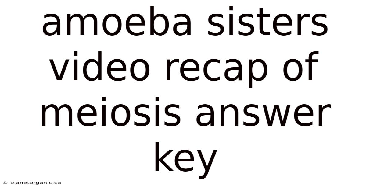 Amoeba Sisters Video Recap Of Meiosis Answer Key