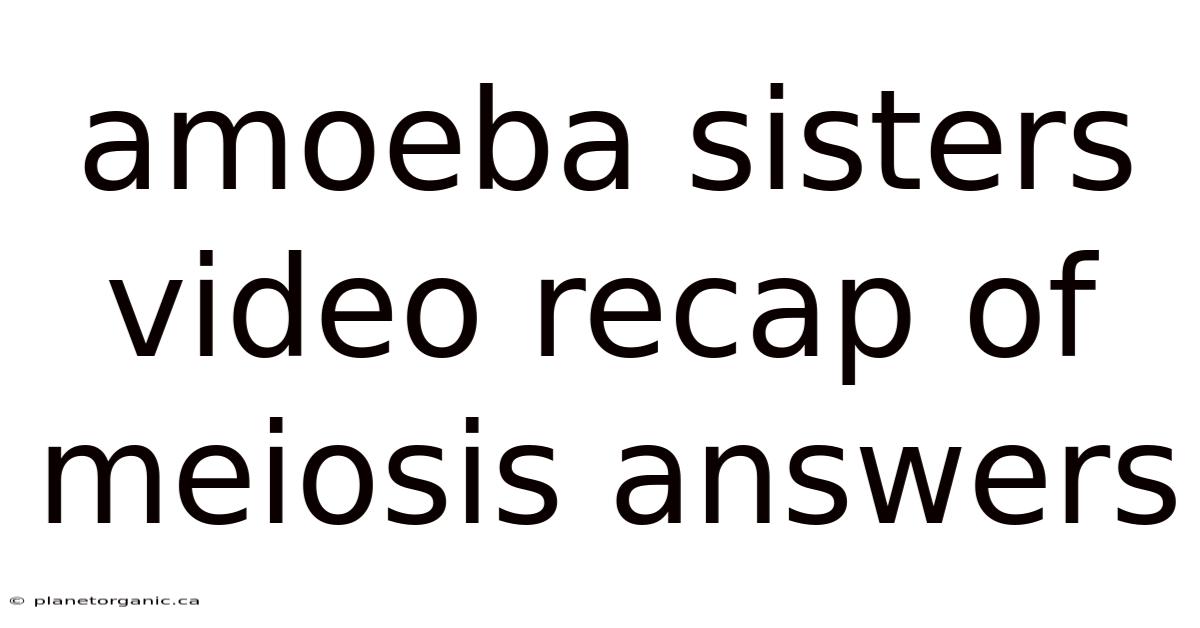 Amoeba Sisters Video Recap Of Meiosis Answers