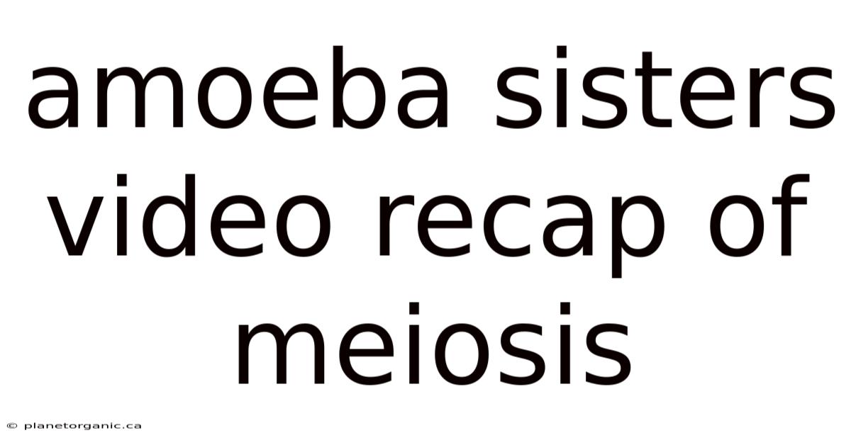 Amoeba Sisters Video Recap Of Meiosis