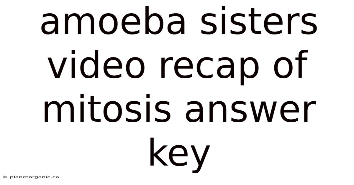 Amoeba Sisters Video Recap Of Mitosis Answer Key