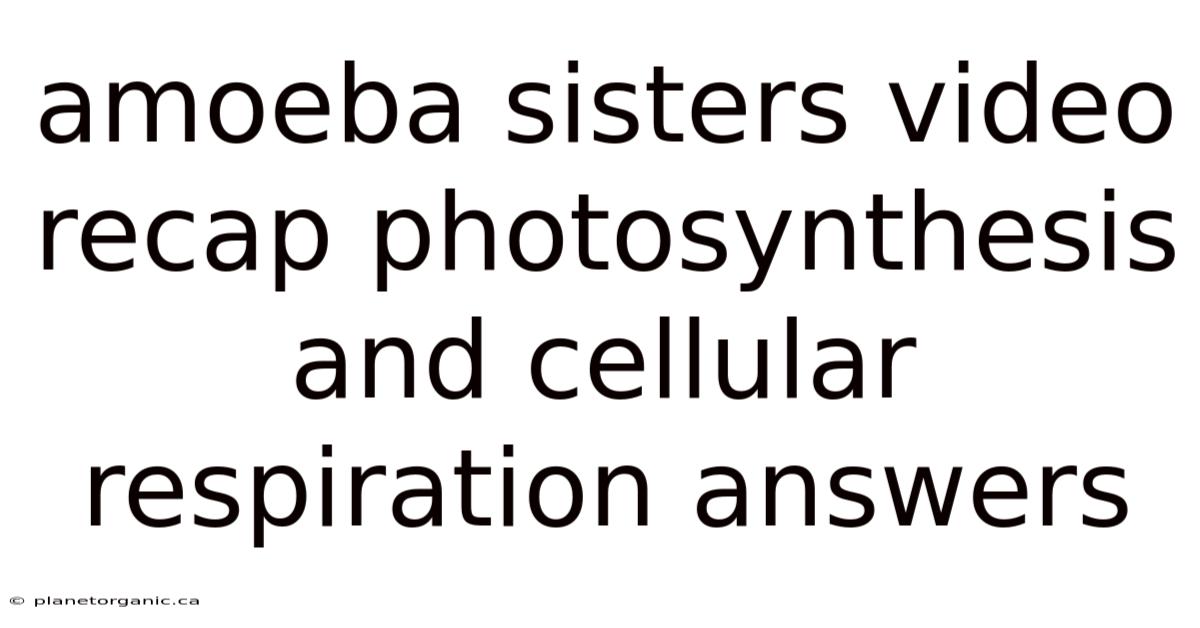 Amoeba Sisters Video Recap Photosynthesis And Cellular Respiration Answers